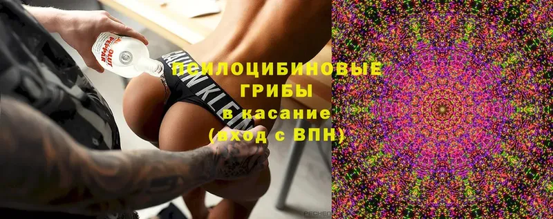 Галлюциногенные грибы мицелий  как найти   Сальск 