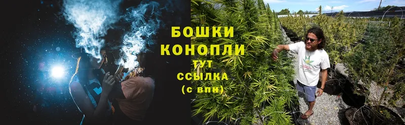 Конопля Ganja  Сальск 